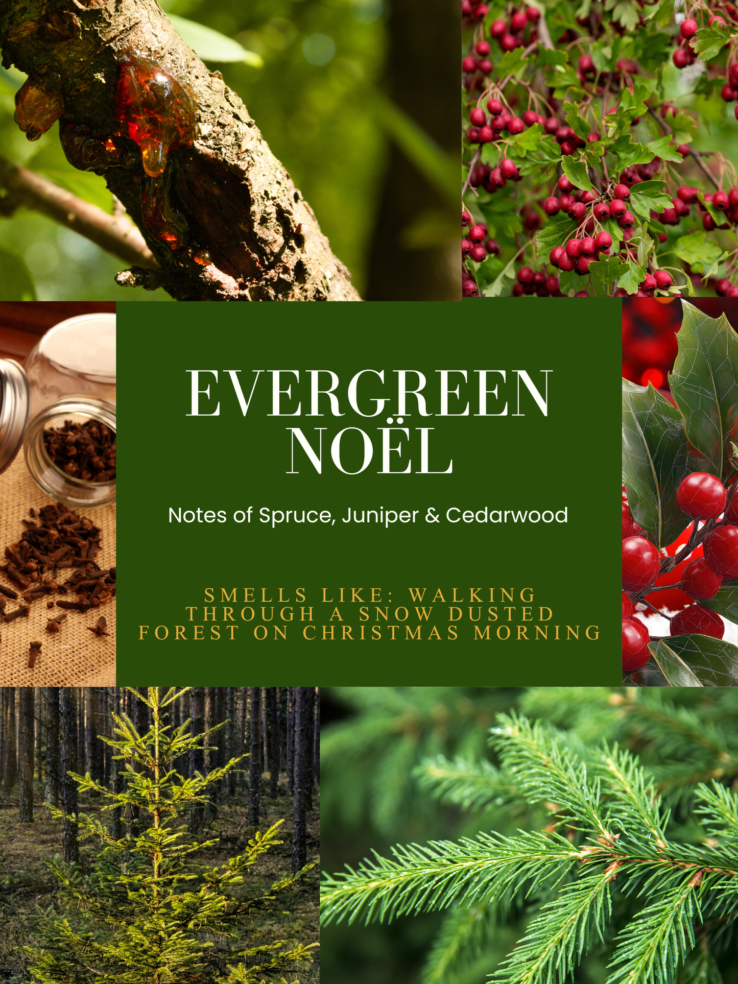 Evergreen Noël Candle | Spruce + Juniper + Cedarwood