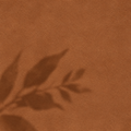 WARM & EARTHY