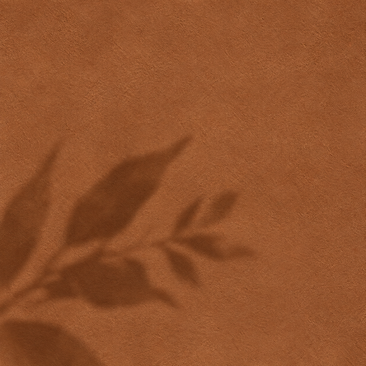 WARM & EARTHY
