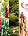 Aspen Vale Candle | Sumac + Moss + Palo Santo