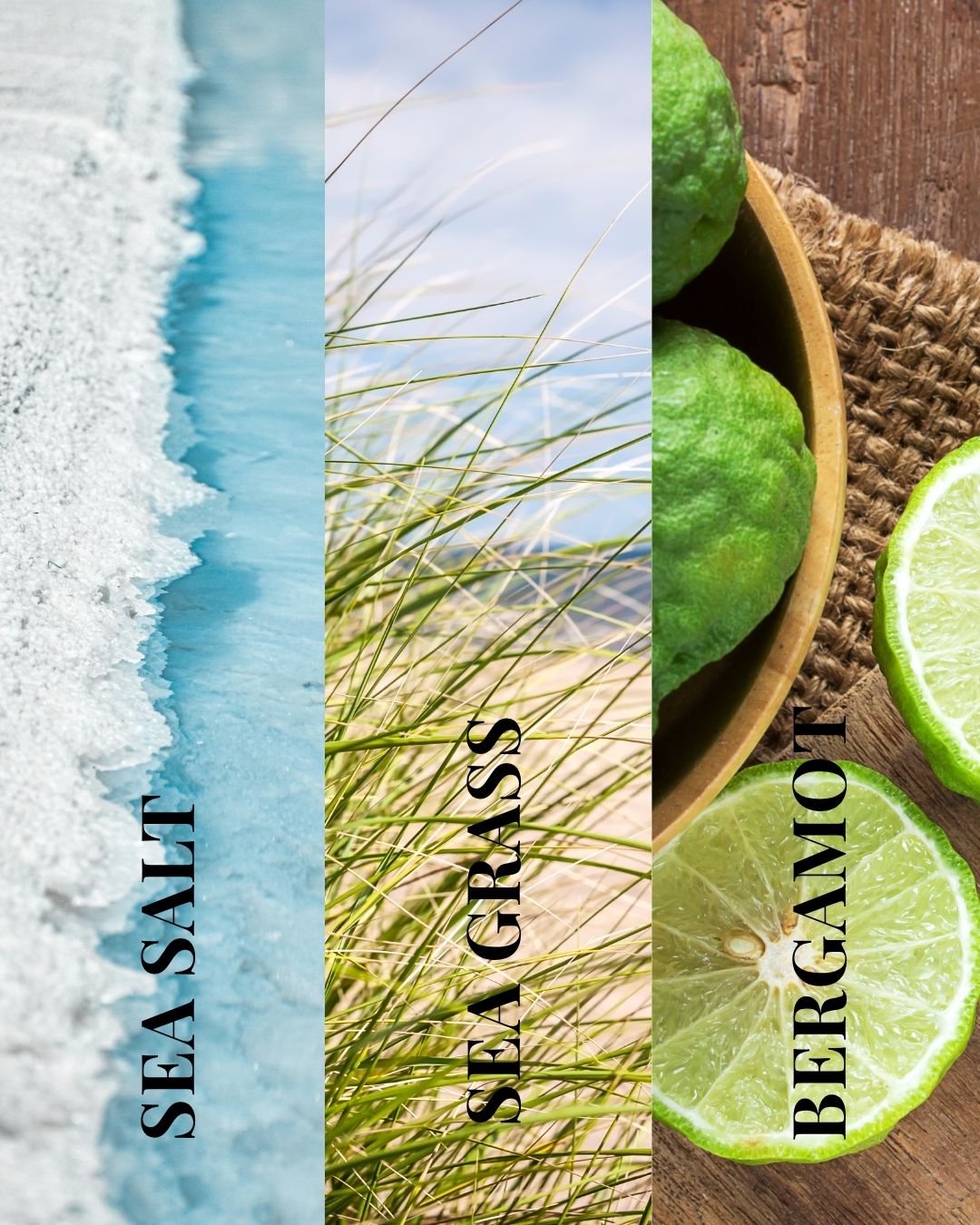 Cape Cod Candle | Sea Salt + Sea Grass + Bergamot